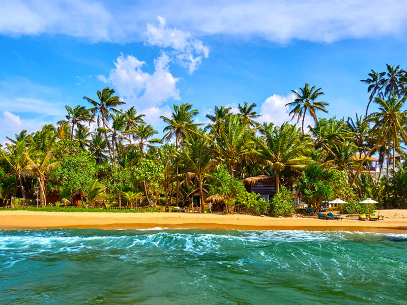 Place to Visit in Bentota, Sri Lanka
