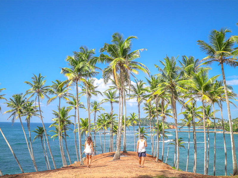 Place to Visit in Mirissa, Sri Lanka