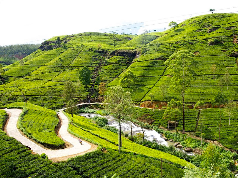 Place to Visit in Nuwara Eliya, Sri Lanka