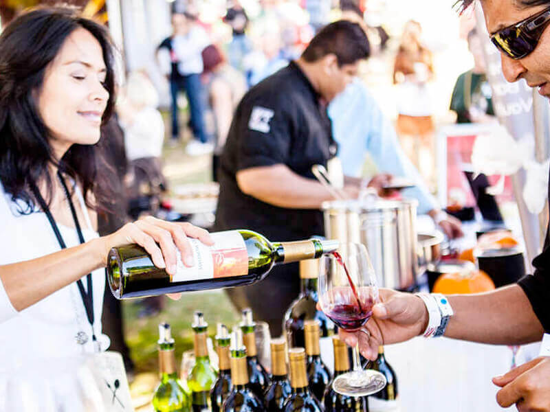 Food and Wine Festivals in Mexico