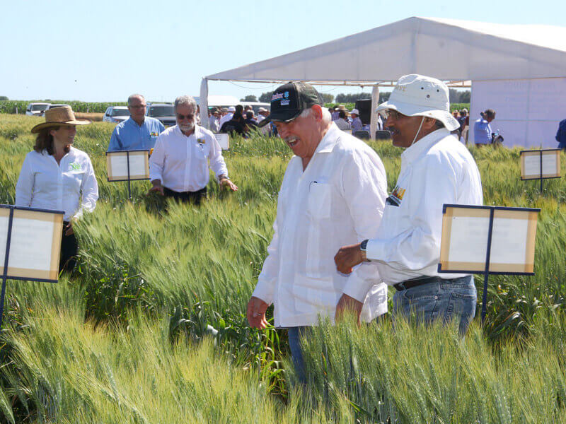 Harvest and Nature Programs in Mexico
