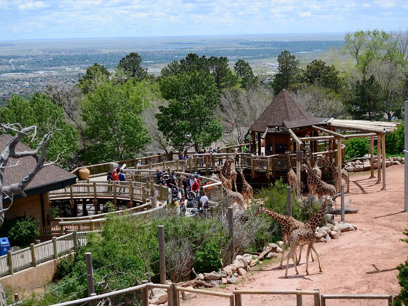 Cheyenne Mountain Zoo in Colorado