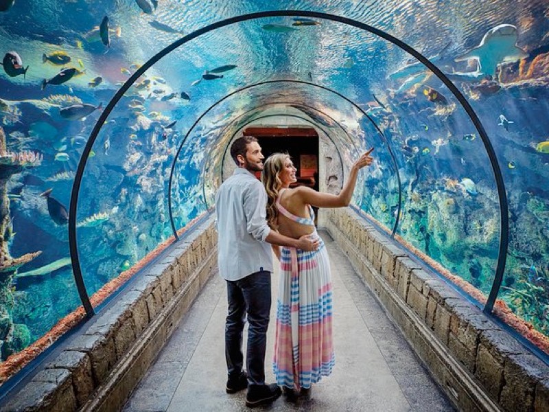 Shark Reef at Mandalay Bay