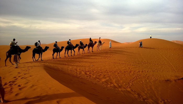 Camel Riding Safari