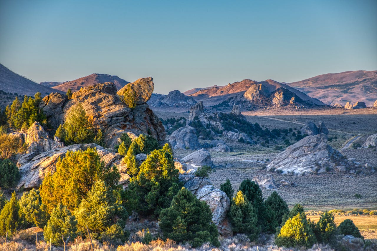 Idaho